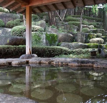 Minakuchi Onsen Tsubaki no Yu 1