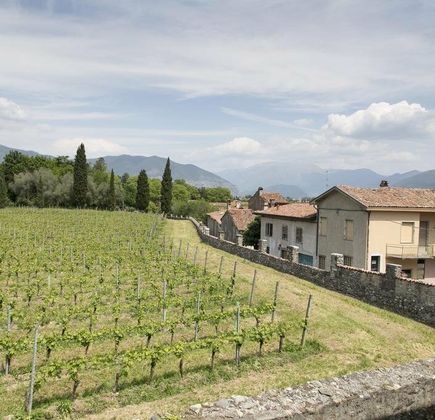 Società Agricola La Fiòca s.r.l. 1