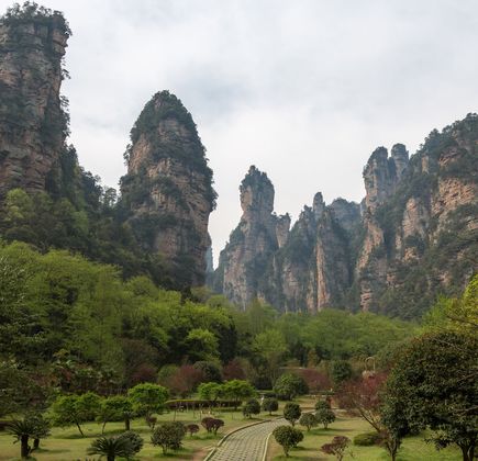 Mt. Guanwu Forest Park 1