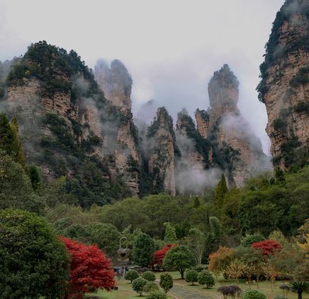 Mt. Miaoshan Forest Park 1
