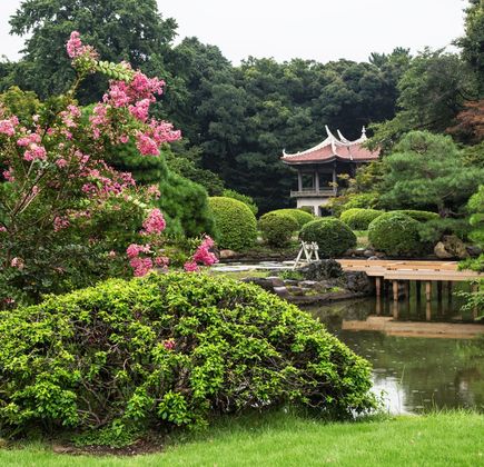 Shinjuku Gyoen National Garden 1