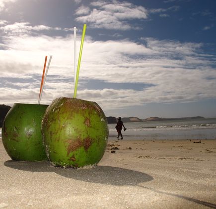 Coconut Beach 2