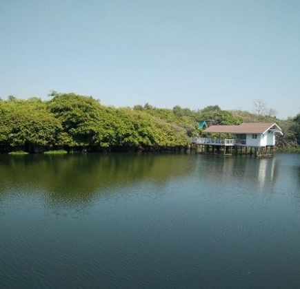 Sai Ngam 1