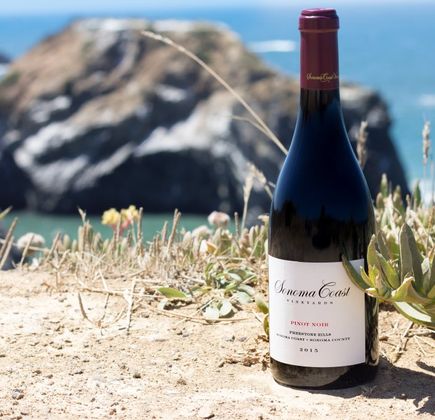 Sonoma Coast Vineyards 1