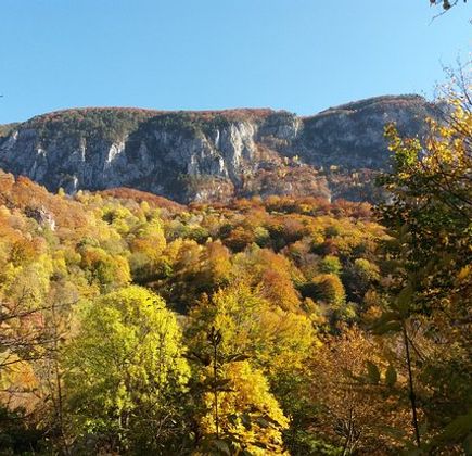 Cerna Valley 1