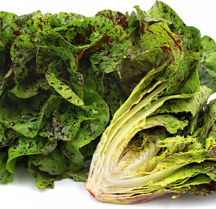 Citerne Romaine 1