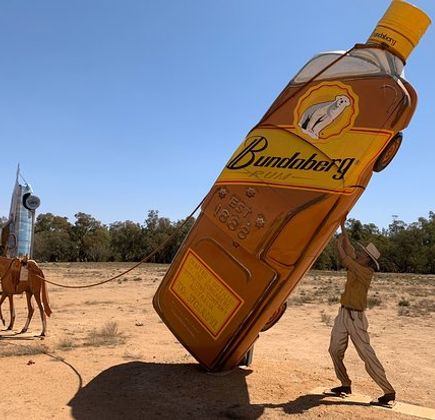 Utes in the Paddock 1