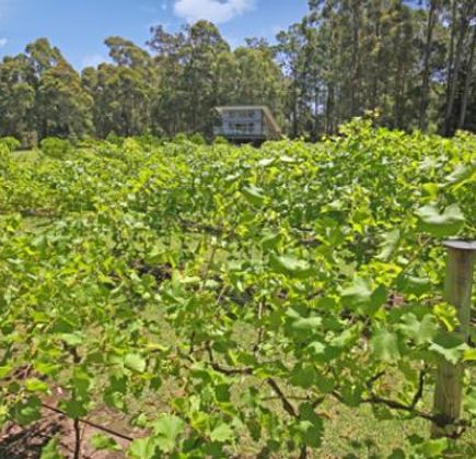 Bawley Vale Estate 1