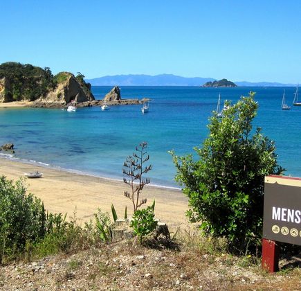 Rotoroa Island 1