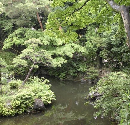 Tonogayato Garden 1