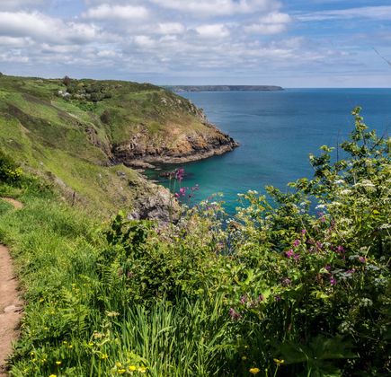 Cornish Coastal Path 1