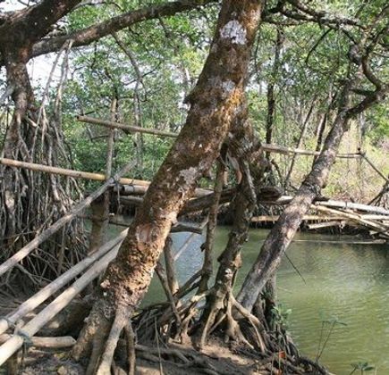 Ujung Kulon National Park 1