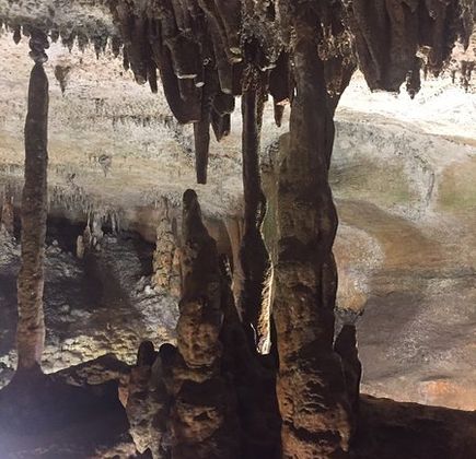 Rickwood Caverns State Park 1