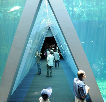 Aquamarine Fukushima 1