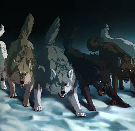 Three Wolf 1