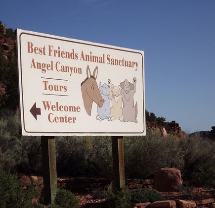 Best Friends Animal Sanctuary 1