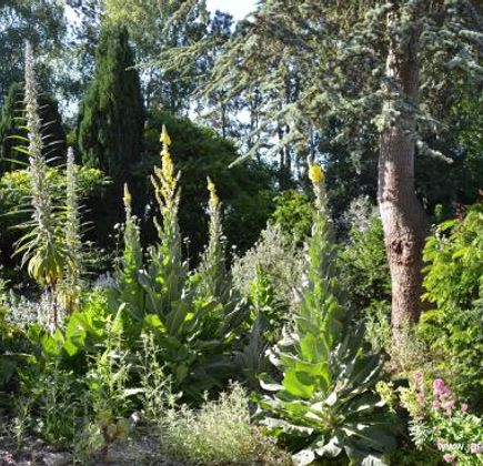Jardin Botanique du Beau Pays 1