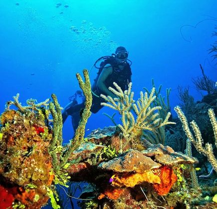 Andros Barrier Reef 1