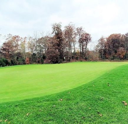 Champions Pointe Golf Club 1