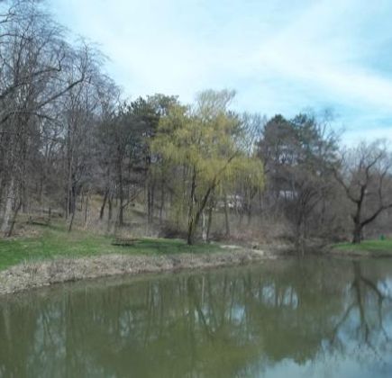 Side Cut Metropark 1