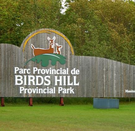 Birds Hill Provincial Park 1