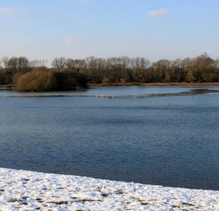 Haysden Country Park 1