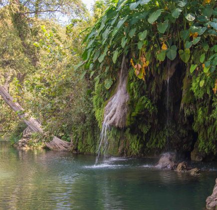 Krause Springs 1