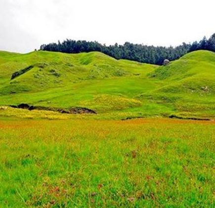 Khaptad National Park 1