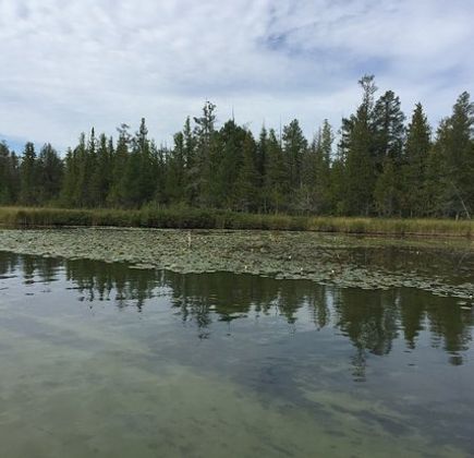 Grass River Natural Area 1