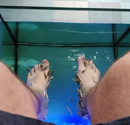 Garra Spas 1
