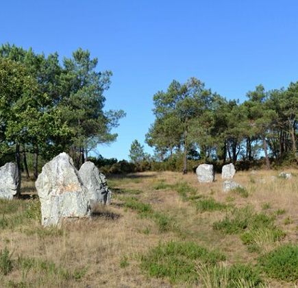 Les Demoiselles de Langon 1