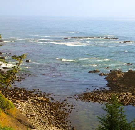 Cape Arago State Park 1