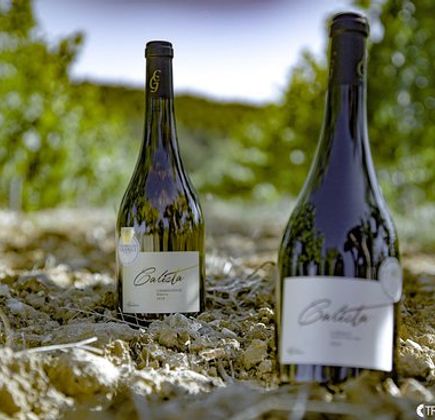 Les Coteaux de Grambois 1