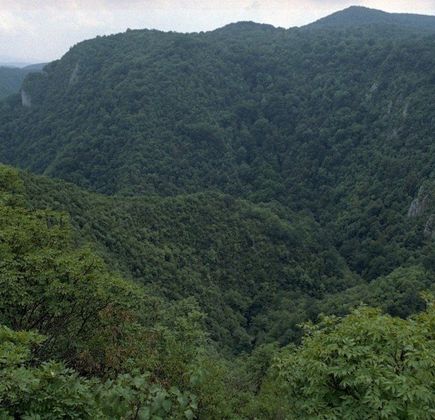 Semenic-Cheile Carașului National Park 1