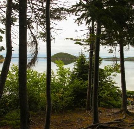 Dildo Run Provincial Park 1