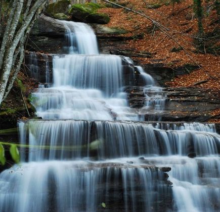 Parco Nazionale delle Foreste Casentinesi, Monte Falterona e Campigna 1