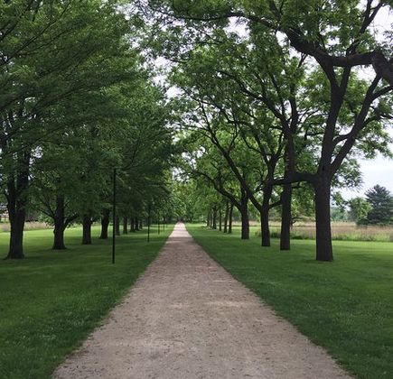 St. James Farm Forest Preserve 1