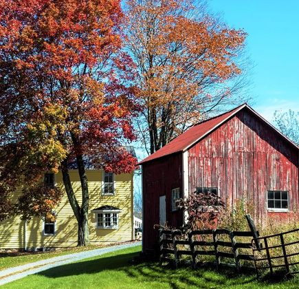 Matfield Maple Farm 1