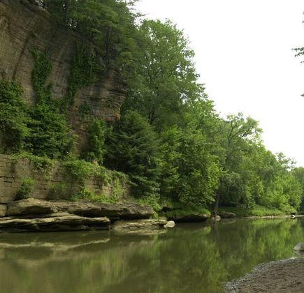 Collier (Howard) State Nature Preserve 1