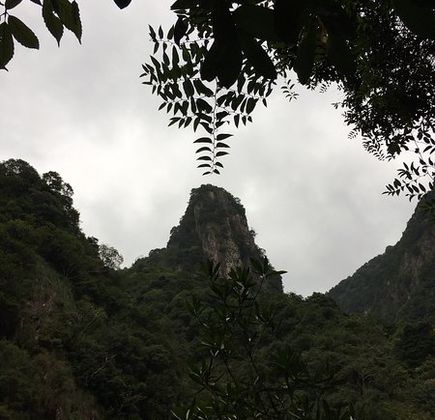 Mt. Weibao Forest Park 1