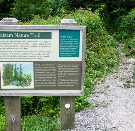 Bonney Reserve Nature Trail 1