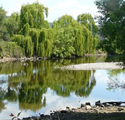 Tumut River 1