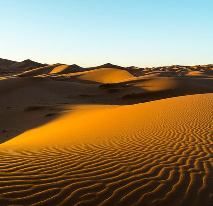 Sahara Desert 1
