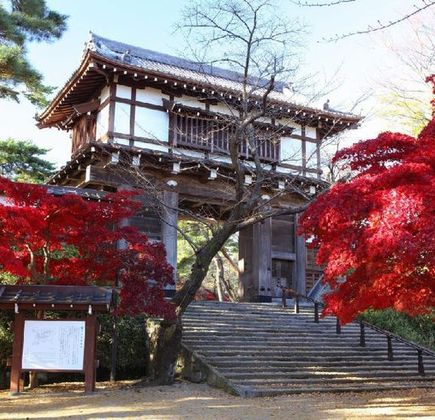 Senshu Park 1