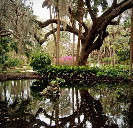 Washington Oaks Gardens State Park 1