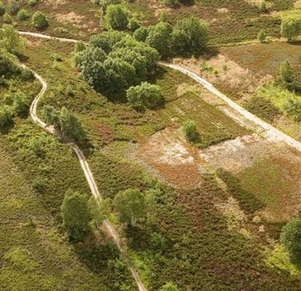 Hoge Kempen National Park 1