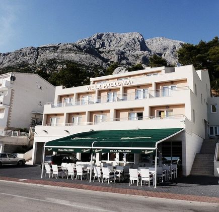 Malacological Museum 1