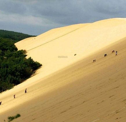 Fukiagehama Coast Dune 1