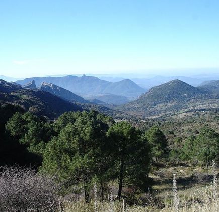 Sendero Puerto de las Presillas 1