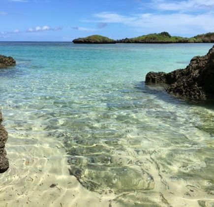 Iriomote Island 1